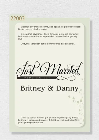 “Just Married” ve İsimlerinizin Yazılı Olduğu Gelin Arabası Stickerı